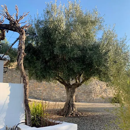Cortijo La Fe Montefrio