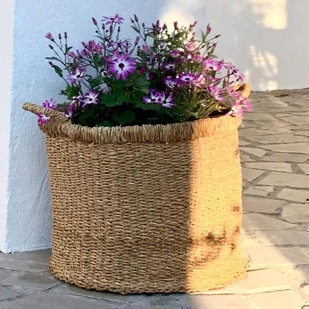 Cortijo La Fe