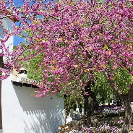 Cortijo La Fe Country house Montefrio
