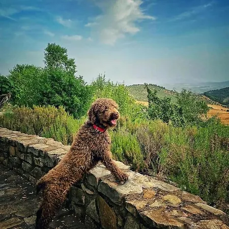 Country house Cortijo La Fe