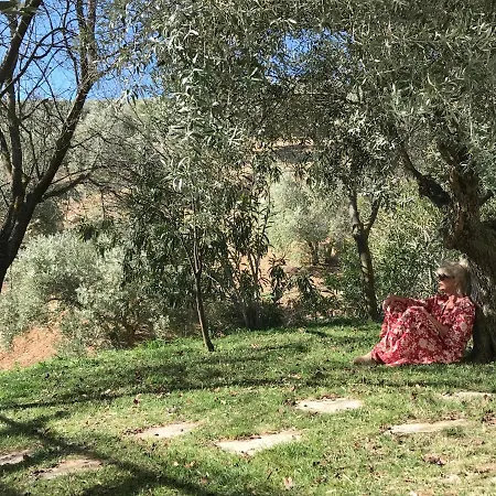 Country house Cortijo La Fe Montefrio