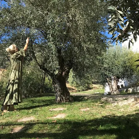 Cortijo La Fe Country house
